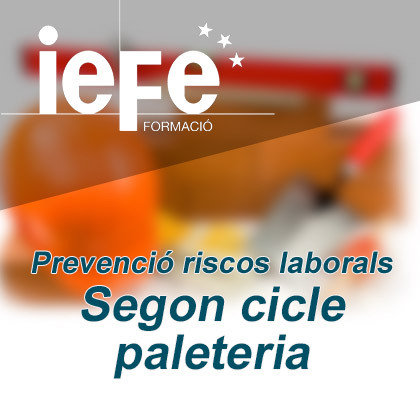 Segon-cicle-paleteria